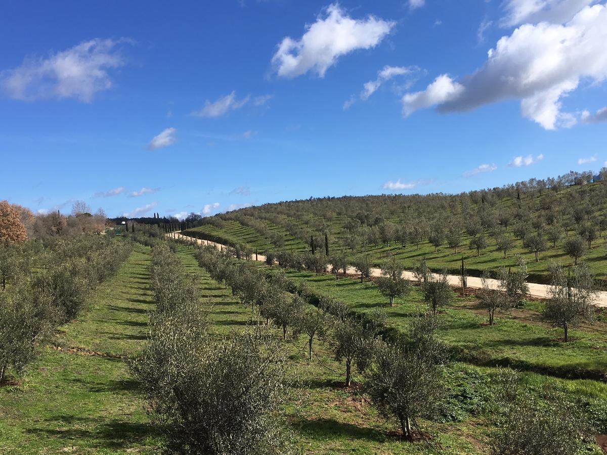 Il Podere Di Marfisa Farnese エクステリア 写真
